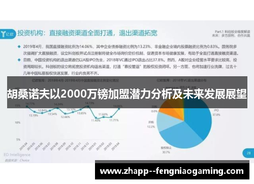 胡桑诺夫以2000万镑加盟潜力分析及未来发展展望