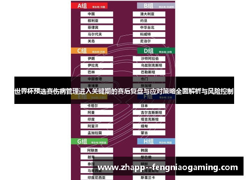 世界杯预选赛伤病管理进入关键期的赛后复盘与应对策略全面解析与风险控制 世界杯预选赛伤病管理进入关键期的赛后复盘与应对策略全面解析与风险控制