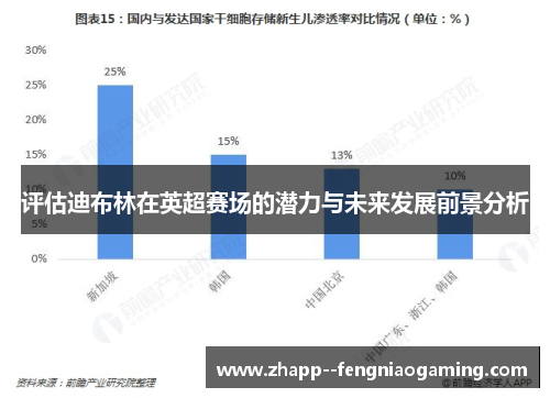 评估迪布林在英超赛场的潜力与未来发展前景分析