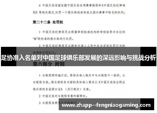 足协准入名单对中国足球俱乐部发展的深远影响与挑战分析