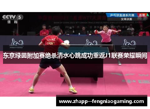 东京绿茵附加赛绝杀清水心跳成功重返J1联赛荣耀瞬间