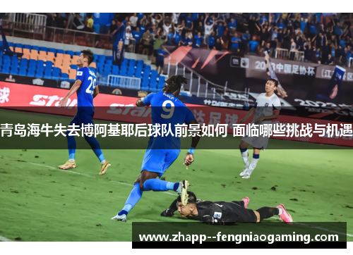 青岛海牛失去博阿基耶后球队前景如何 面临哪些挑战与机遇