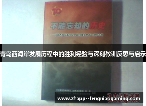 青岛西海岸发展历程中的胜利经验与深刻教训反思与启示