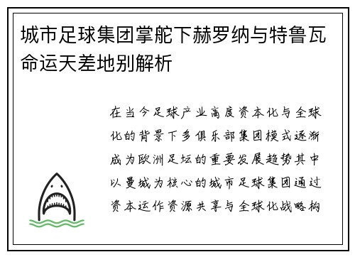 城市足球集团掌舵下赫罗纳与特鲁瓦命运天差地别解析 城市足球集团掌舵下赫罗纳与特鲁瓦命运天差地别解析
