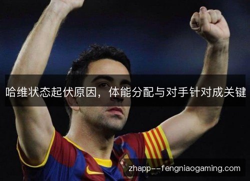 哈维状态起伏原因，体能分配与对手针对成关键