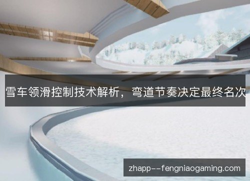 雪车领滑控制技术解析,弯道节奏决定最终名次 雪车领滑控制技术解析,弯道节奏决定最终名次